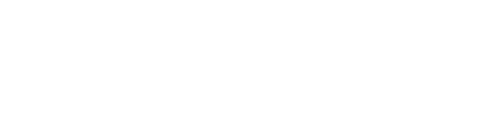 Salesurf